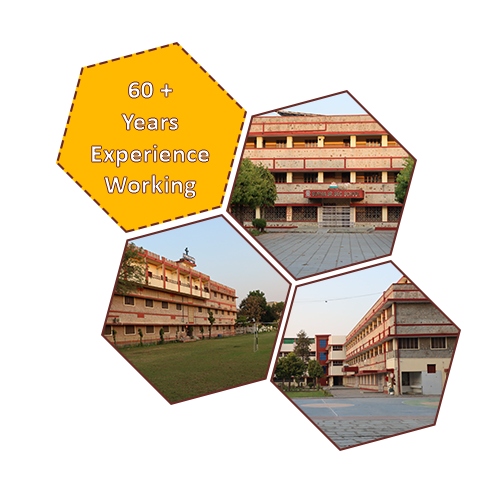 Sophia School